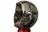Polished Septarian Geode Sphere - Madagascar #134645-1